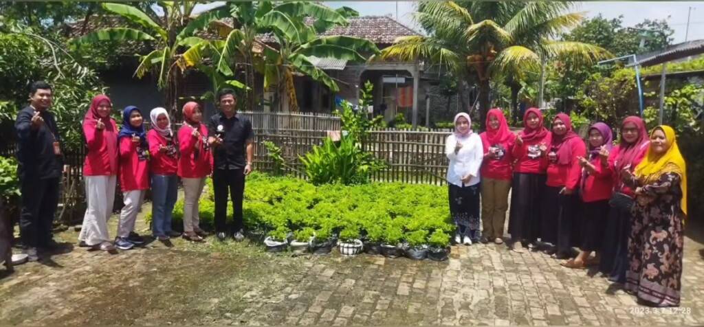 Potensi UMKM Teh Jinten / Produk Olahan Lokal